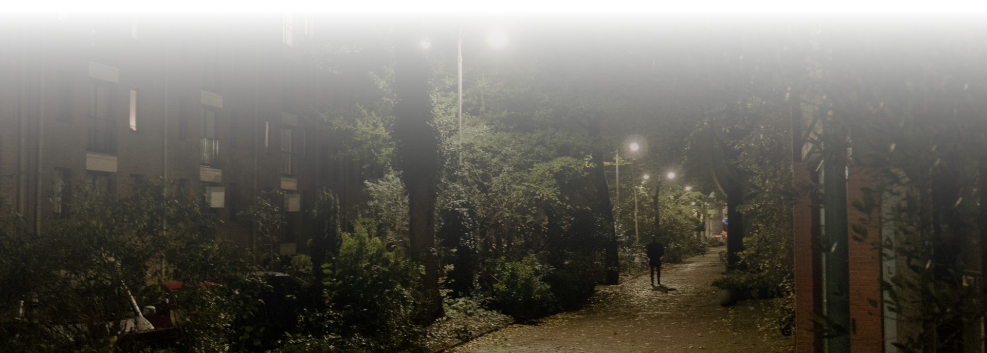 Dekoratív lábléc kép